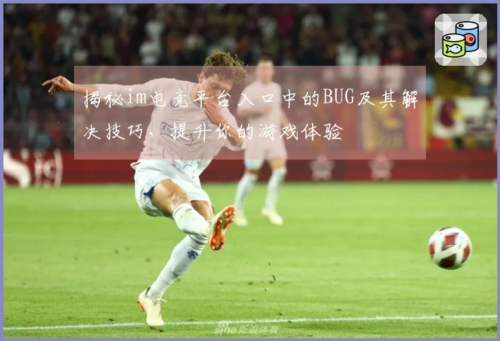 揭秘im电竞平台入口中的BUG及其解决技巧，提升你的游戏体验