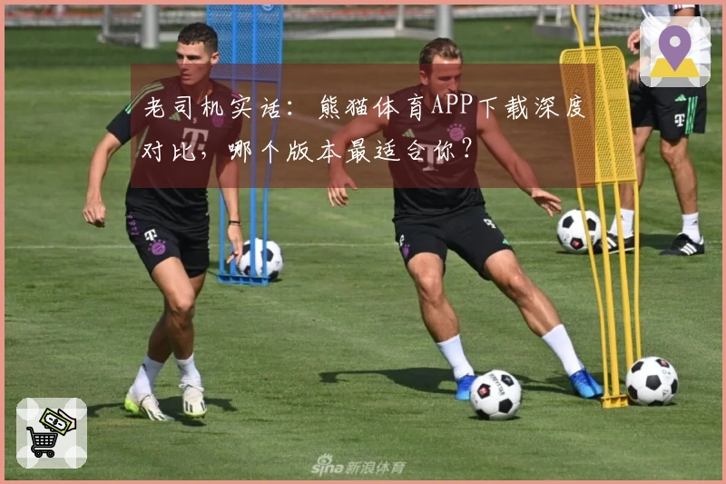 老司机实话：熊猫体育APP下载深度对比，哪个版本最适合你？