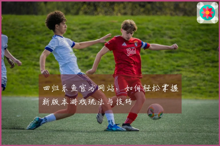 回归乐鱼官方网站，如何轻松掌握新版本游戏玩法与技巧