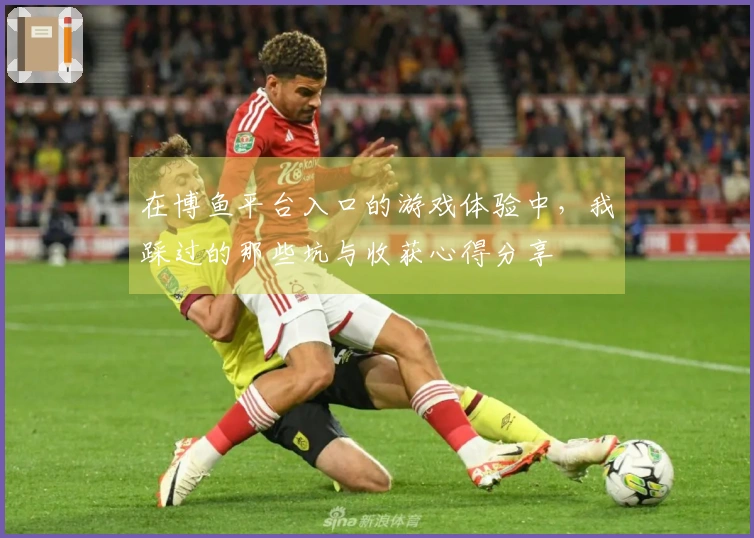 在博鱼平台入口的游戏体验中，我踩过的那些坑与收获心得分享