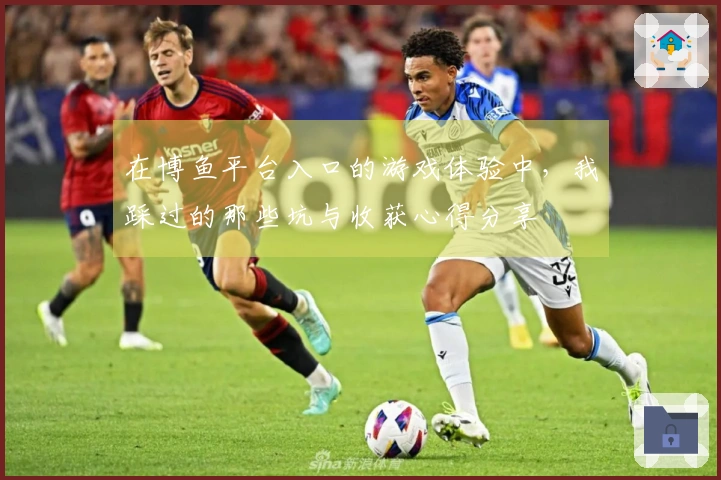 在博鱼平台入口的游戏体验中，我踩过的那些坑与收获心得分享