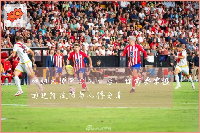 回归火博平台入口后，你需要掌握的进阶技巧与心得分享